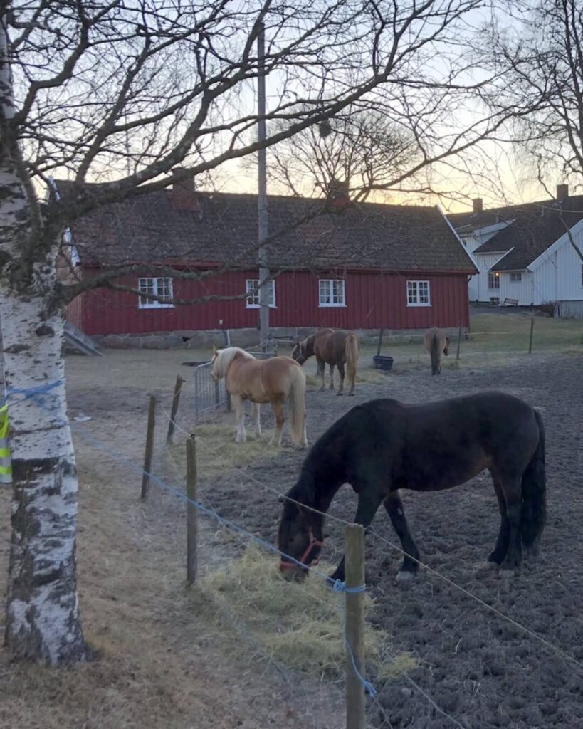 hester-pa-skjerven-gard